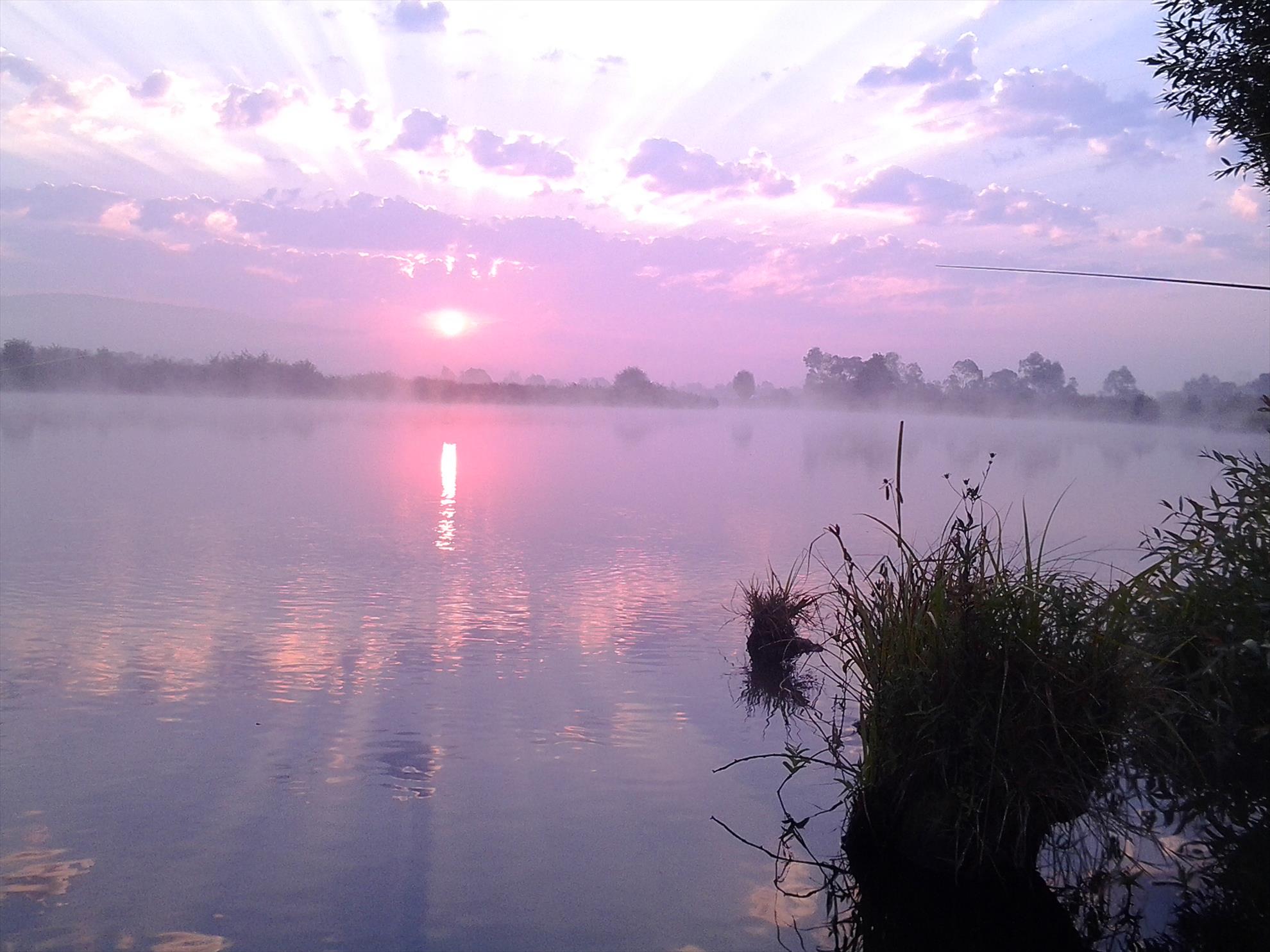 pescuit - stigma fishing